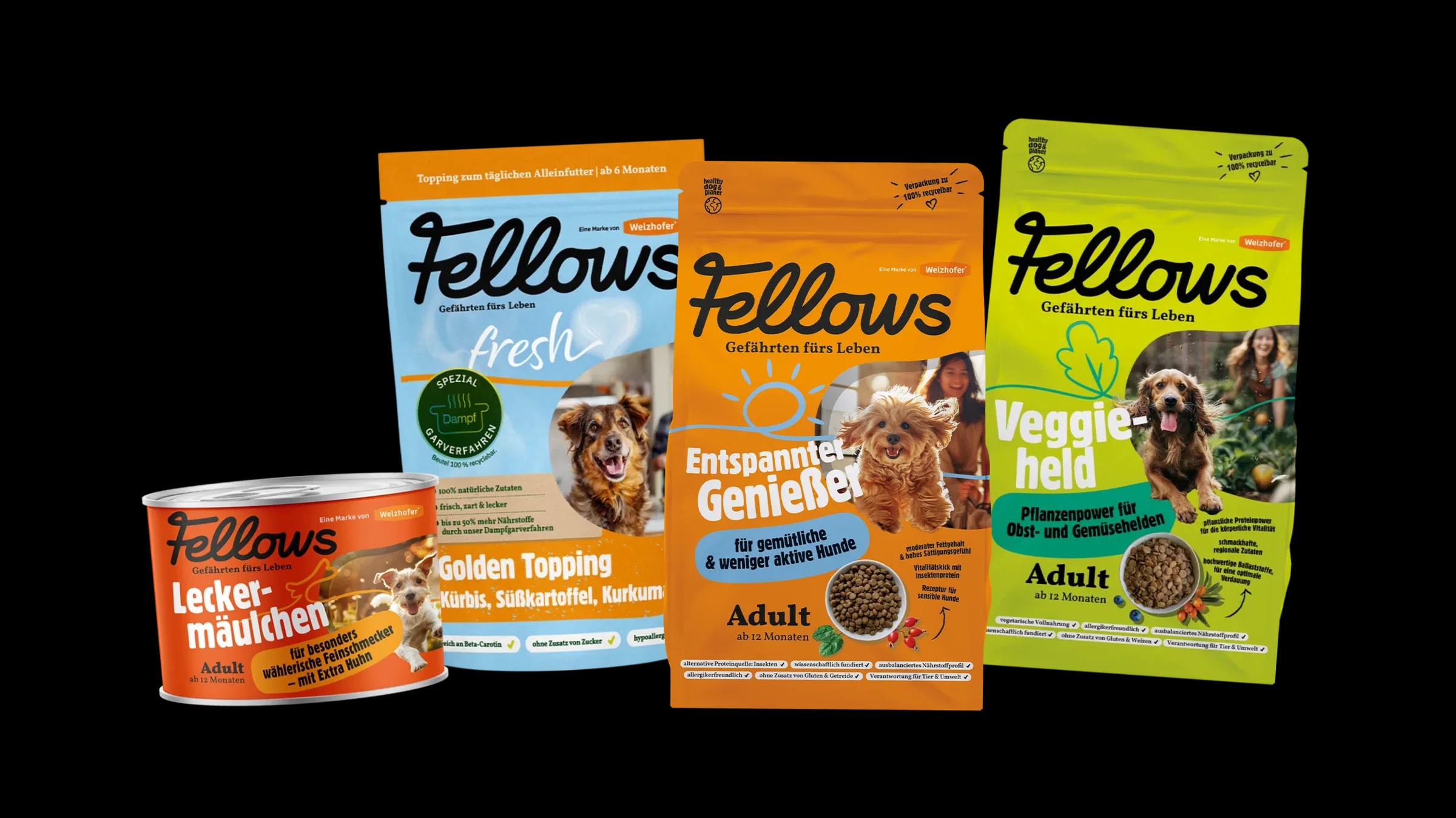 Fellows – Motiv 2